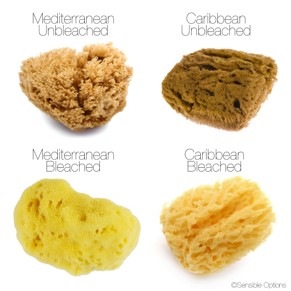 IntimateCare Sponges - 3x 5.5-6.5cm Unbleached - Retail Packaging