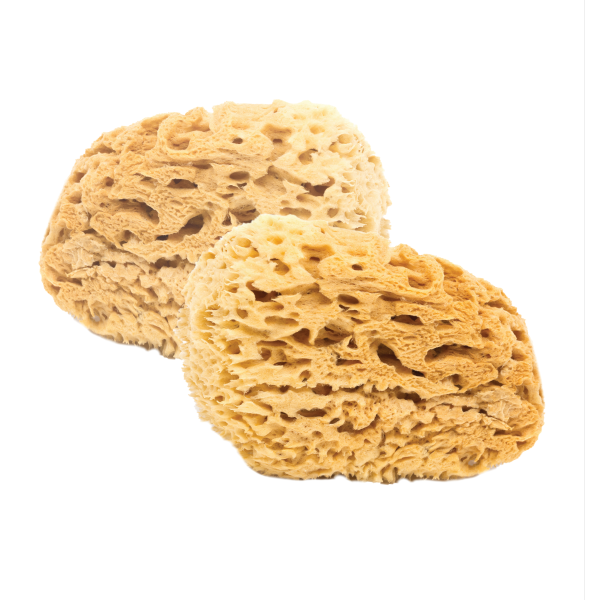 2x Premium Honeycomb BabyCare Sponges - 9 - 10cm - Minimalist Packaging